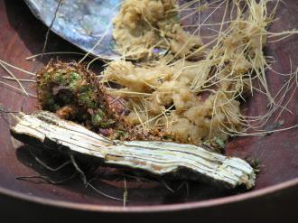 <caption>
  <text>
    <p>The baked meal from tī kouka stems and aruhe (bracken fernroot).</p>
  </text>
</caption>
