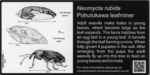Small Bug Sign (5004) for  Neomycta rubida, Pohutukawa leafminer, 100 x 200 mm. Creator: Metal Images Ltd. © Metal Images Ltd & Entomological Society of New Zealand. [Image: 1L14]
