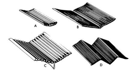 Fig. 27. CAREX, portion of leaf; A plano-convex, B channelled without keel, C channelled with keel, D double-folded. © All rights reserved. [Image: 26XD]