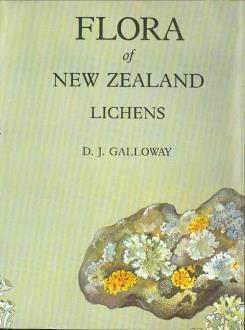 Lichens - &copy; Landcare Research 1985. [Image: 4X8Y]