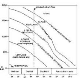 Fig. 1. Altitudinal belts and their variation with latitude within New Zealand. Adapted from Wardle (1991, Fig. 5.2). © All rights reserved. [Image: 4Y0Z]